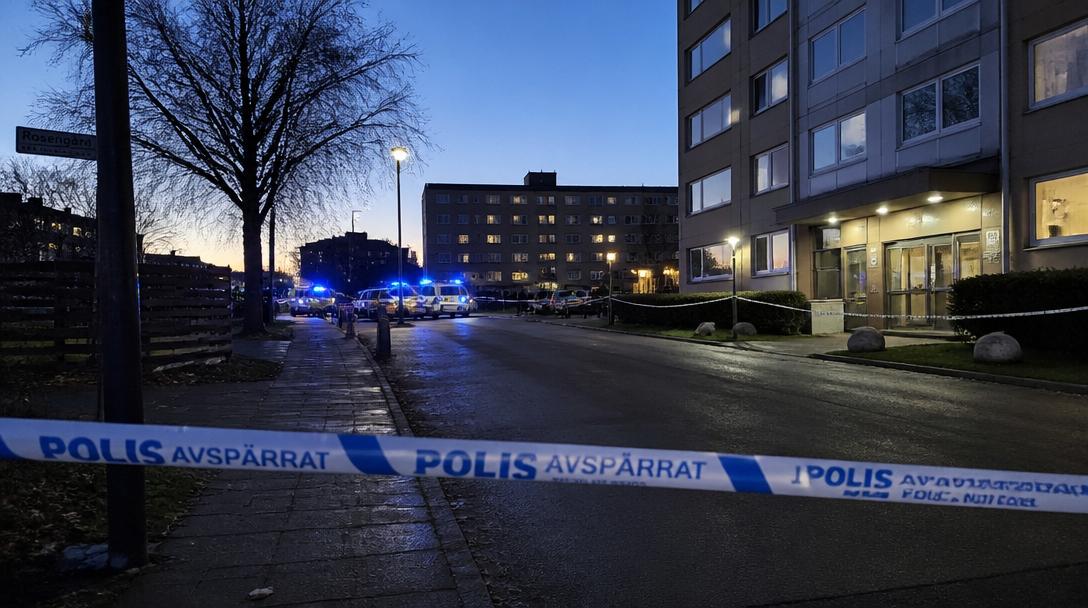 29-åring häktad för medhjälp till mord på 15-åring i Rosengård