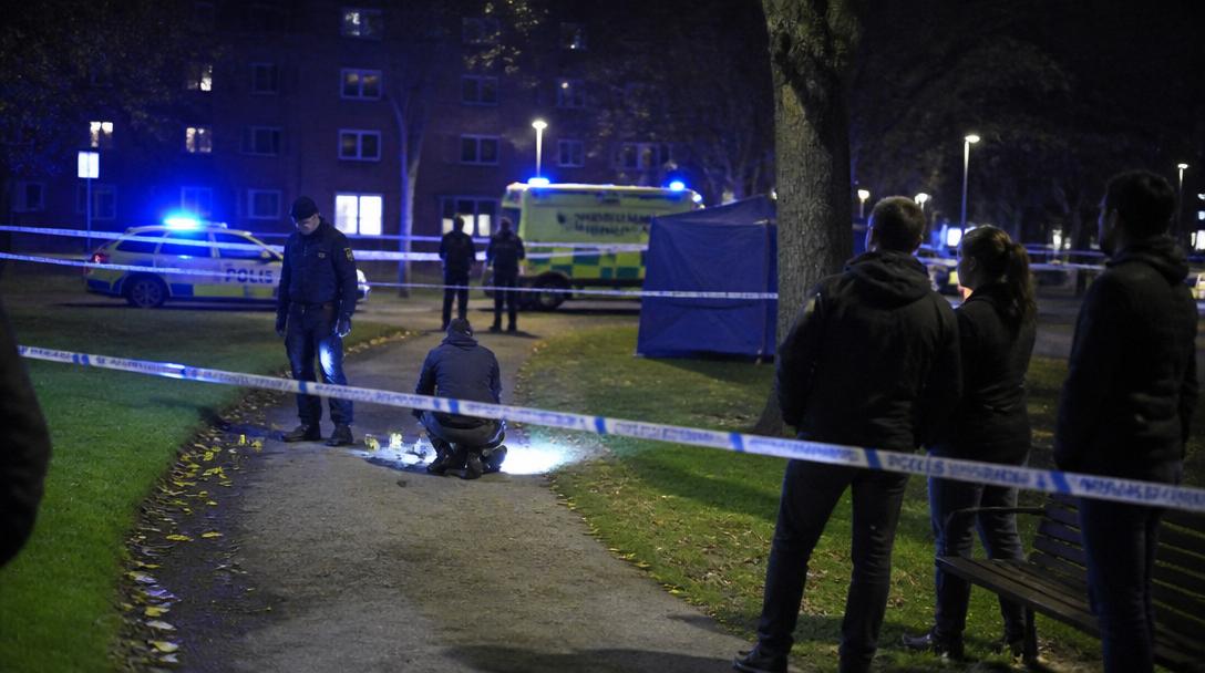 Man gripen efter misstänkt våldtäkt i Malmöpark